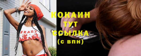 скорость Аша