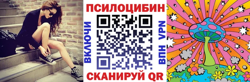 OMG ONION Кимовск Галлюциногенные грибы мухоморы купить цена