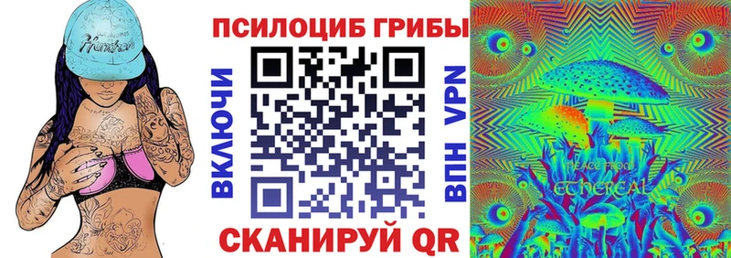 Псилоцибиновые грибы Psilocybe Кимовск
