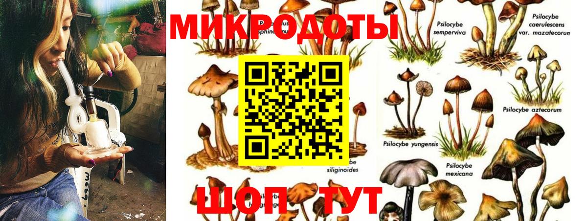 Галлюциногенные грибы мицелий Кимовск
